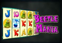 Beetle Mania