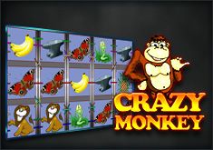 Crazy Monkey