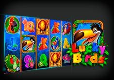 Lucky Birds